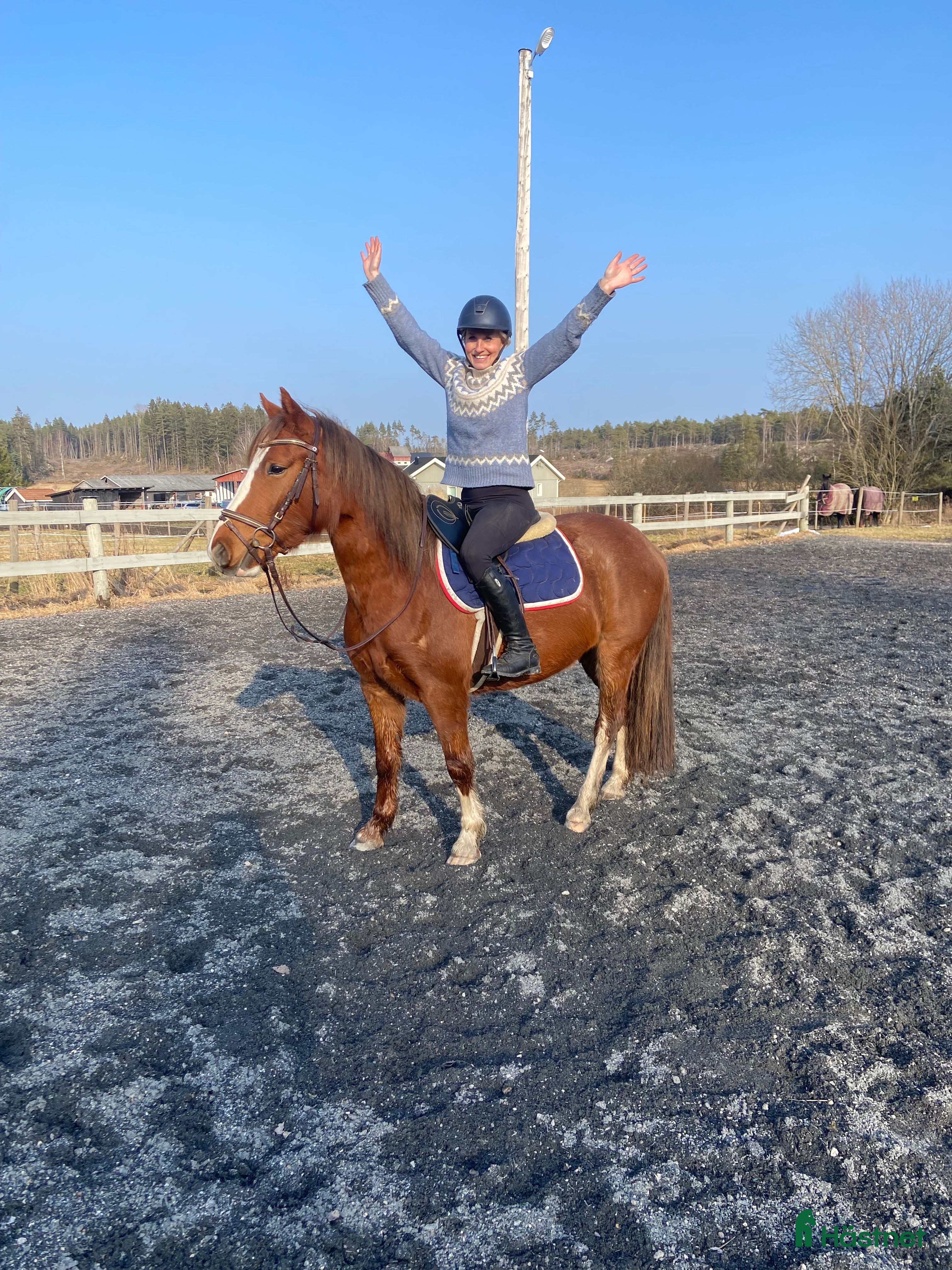  hästar Världens finaste ponny✨ - Annons 3