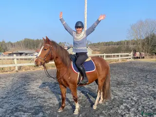 hästar Världens finaste ponny✨ - Annons 3