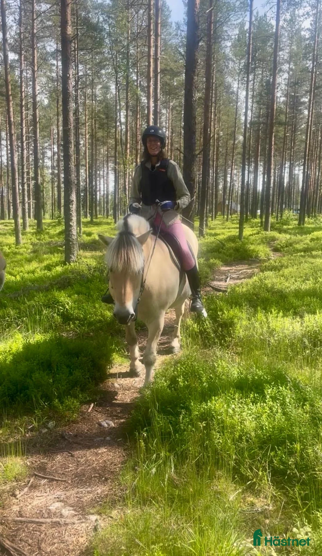  stallplats finnes: Stallplats i Umeå - Annons 1
