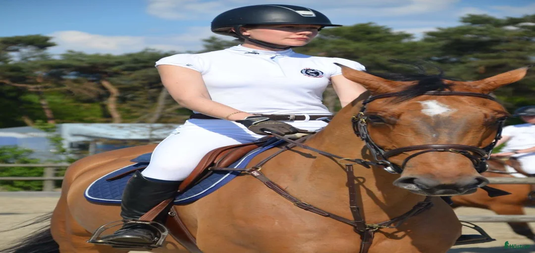 Galleribild {{count}}