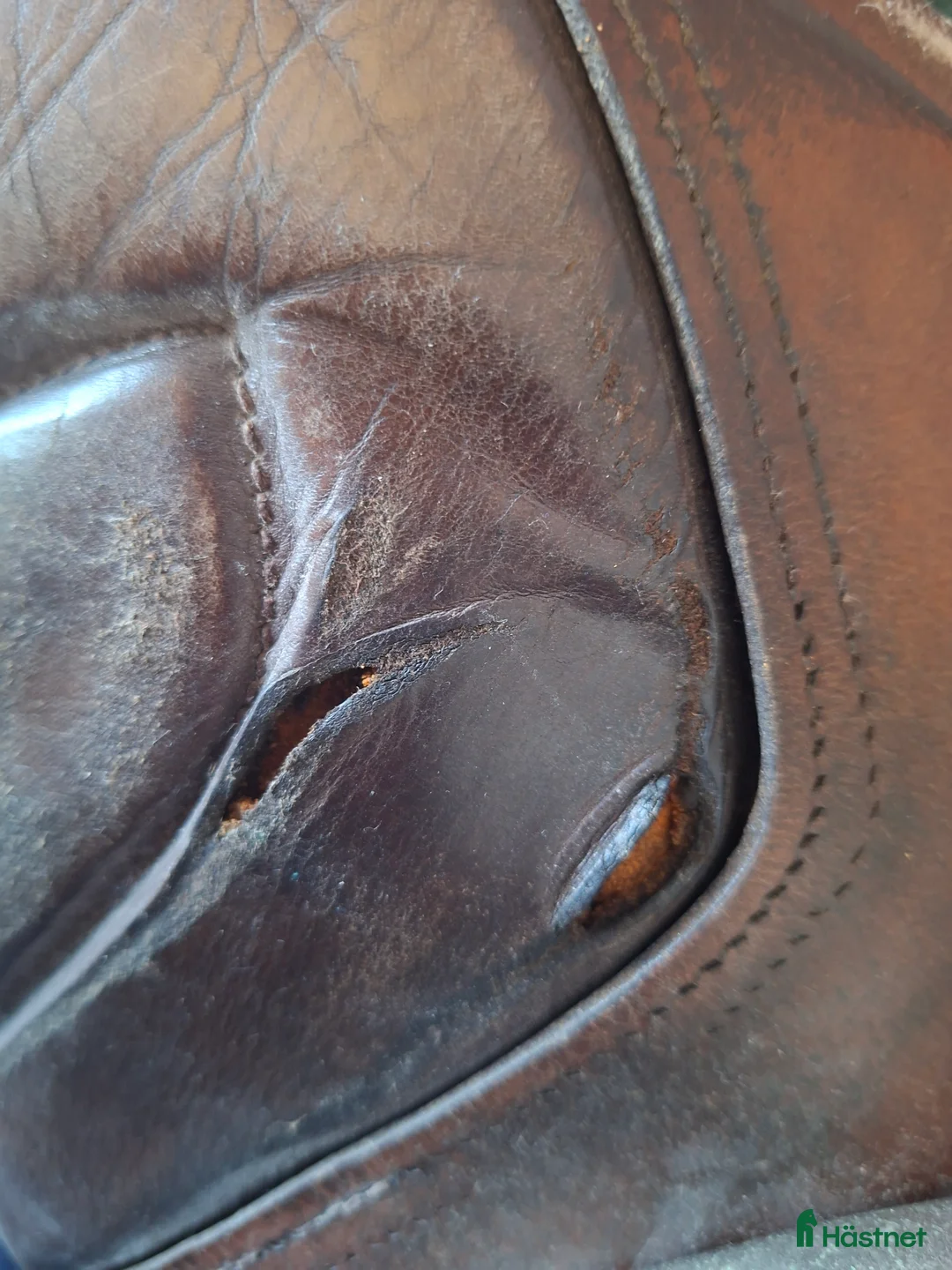 Övrig Hästutrustning hästutrustning till salu: Sele, sadel, träns och mer i Göteborg - Annons 2