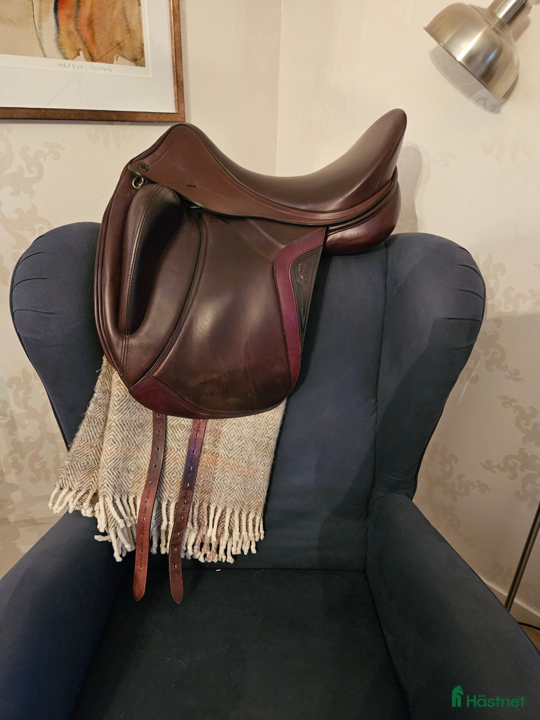 Sadlar hästutrustning till salu: Equiline Alissum dressyrsadel i Furulund - Annons 1