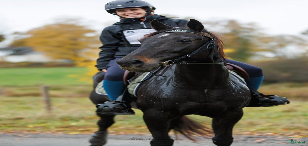 Galleribild {{count}}