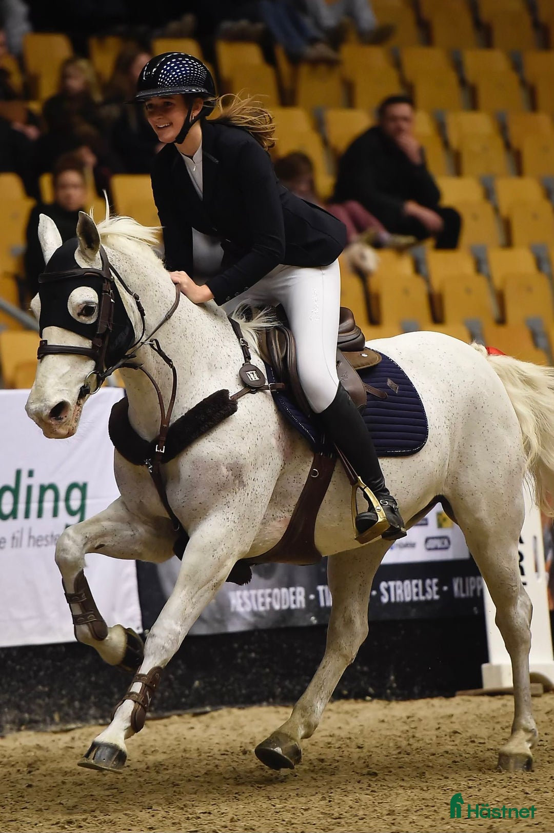 Hoppning hästar till salu: Versatile Show Jumping Pony – Proven Across Europe - Annons 2