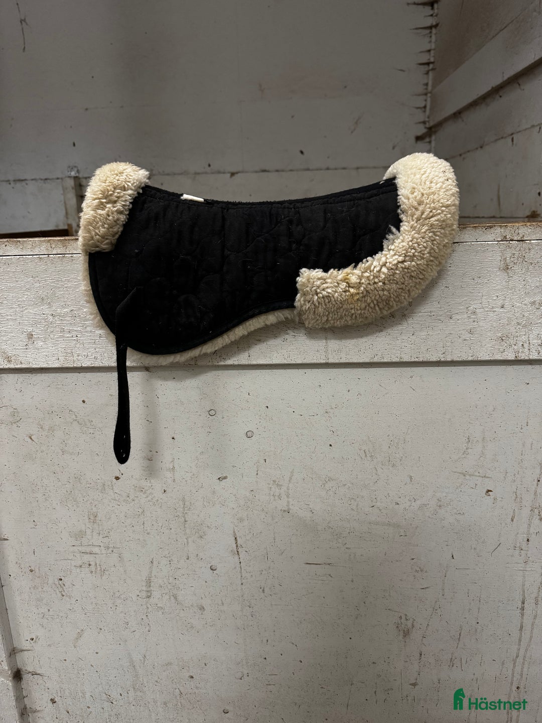 Övrig Hästutrustning hästutrustning till salu: Blandad hästutrusning i Motala - Annons 4