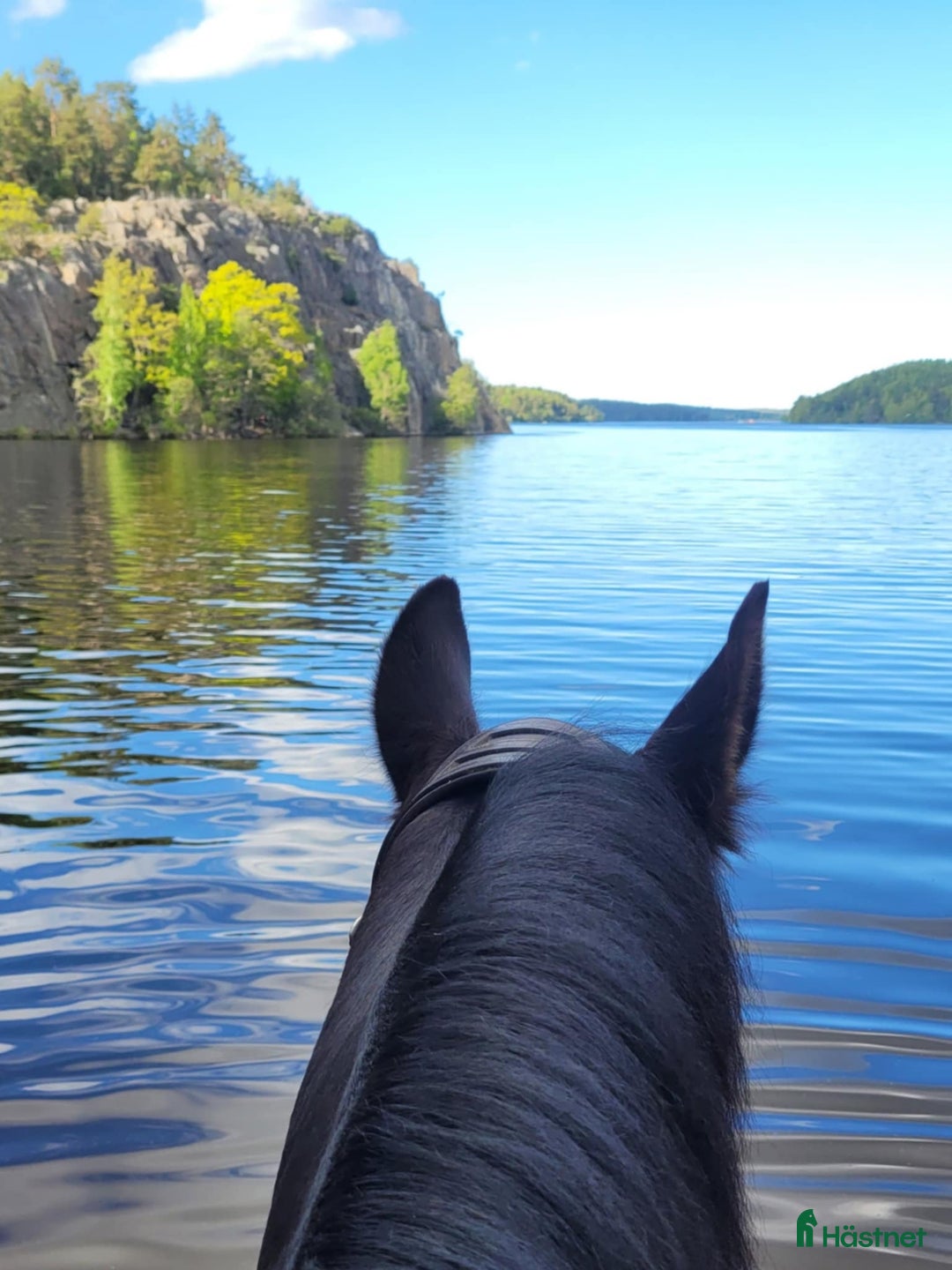  stallplats finnes: Box ledig på Almare Stäket! i Kungsängen - Annons 7