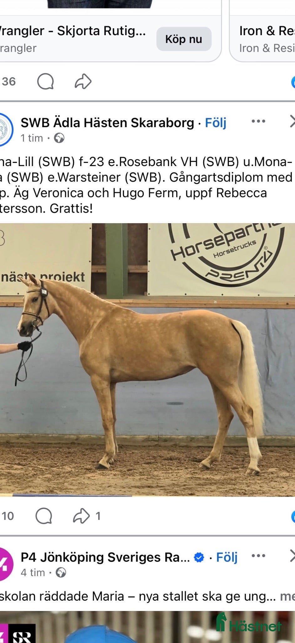  hästar Toppklassigt dressyr sto 🐴 - Annons 1