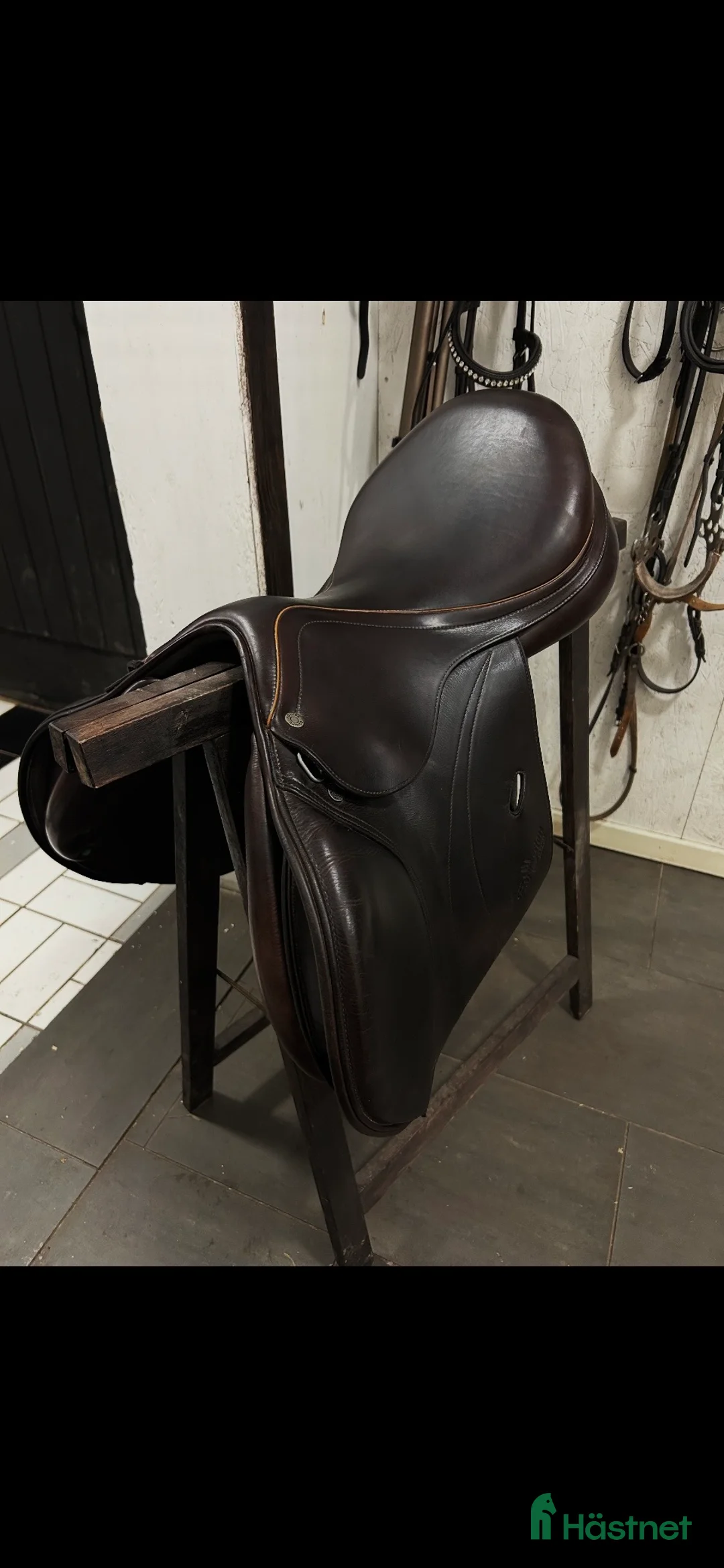 Sadlar hästutrustning till salu: Equipe Expression - Annons 2