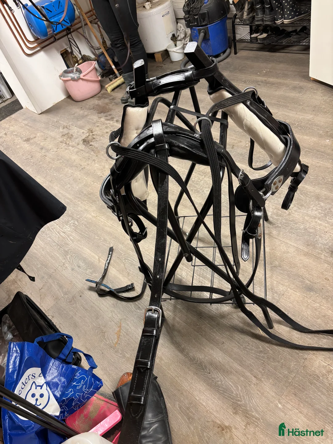 Körselar körning till salu: Loksele ponny i Njutånger - Annons 3