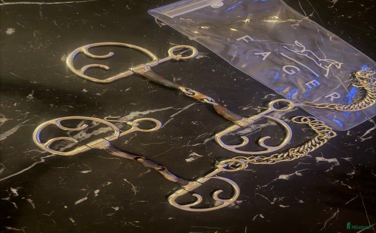 Bett hästutrustning till salu i Ljungby - Annons 15