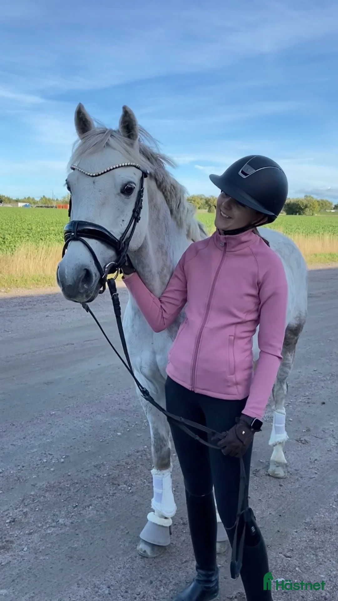 Dressyr hästar till salu: Dubbeltalang med utstrålning - Annons 4