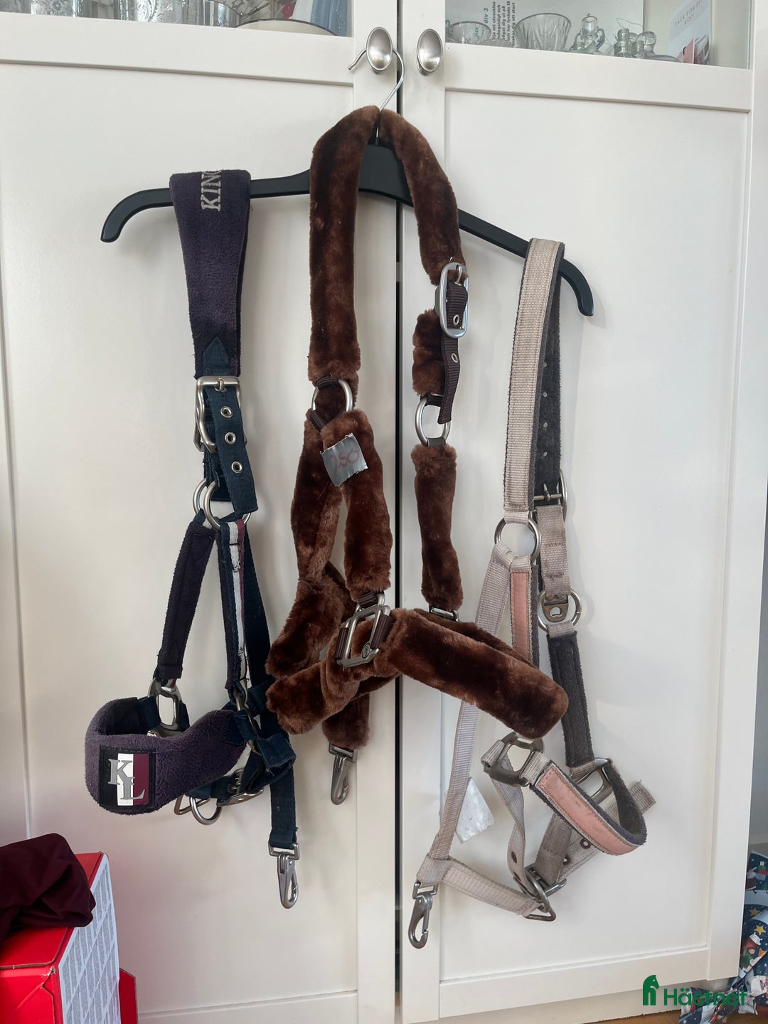 Schabrak & Vojlockar hästutrustning till salu: Säljer häst och ryttare utrusning  i Ödåkra - Annons 10