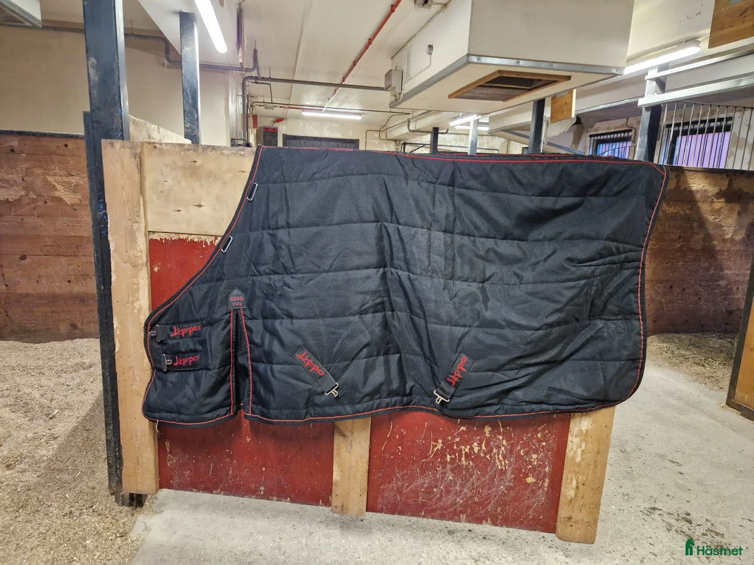 Täcken hästutrustning till salu: Lippo Supreme stalltäcke - Annons 2