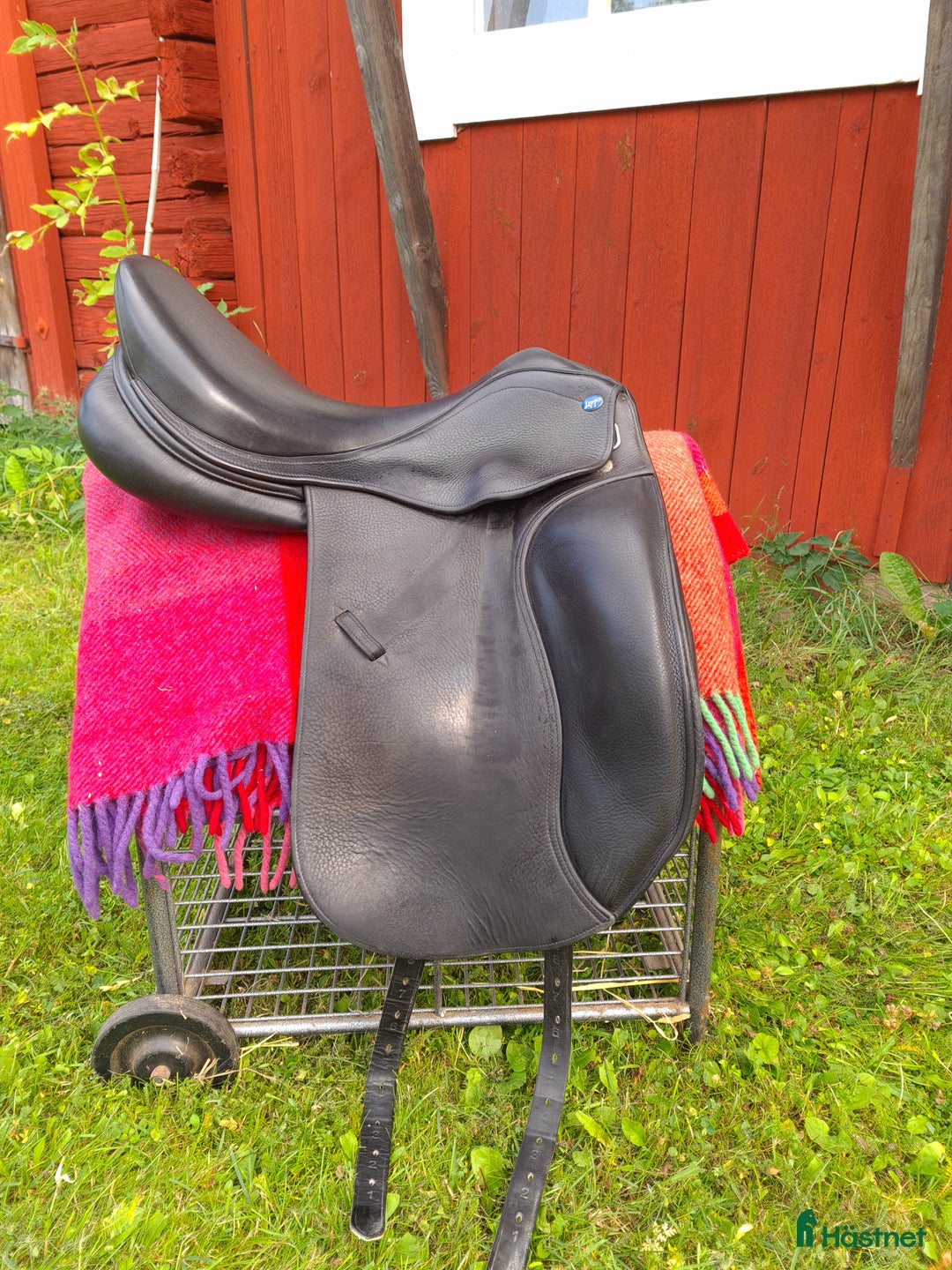 Sadlar hästutrustning till salu: Lippo Azzario Alto 17,5 W, svart i Bergshamra - Annons 1