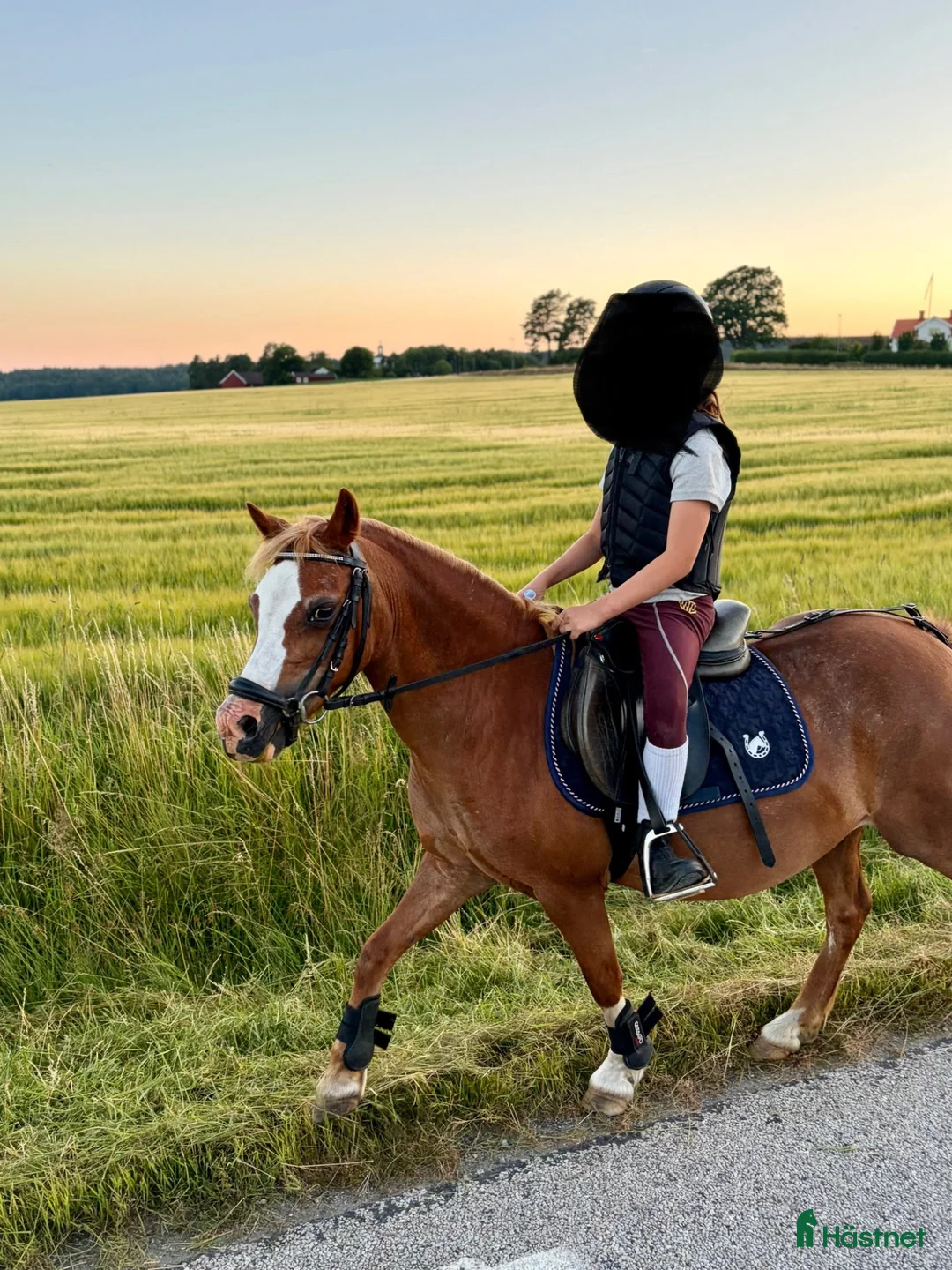 Allround hästar till salu: Kira söker sin egna lilla ryttare ❤️ i Alingsås - Annons 1