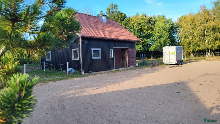 stallplats i Klippan - Annons 13