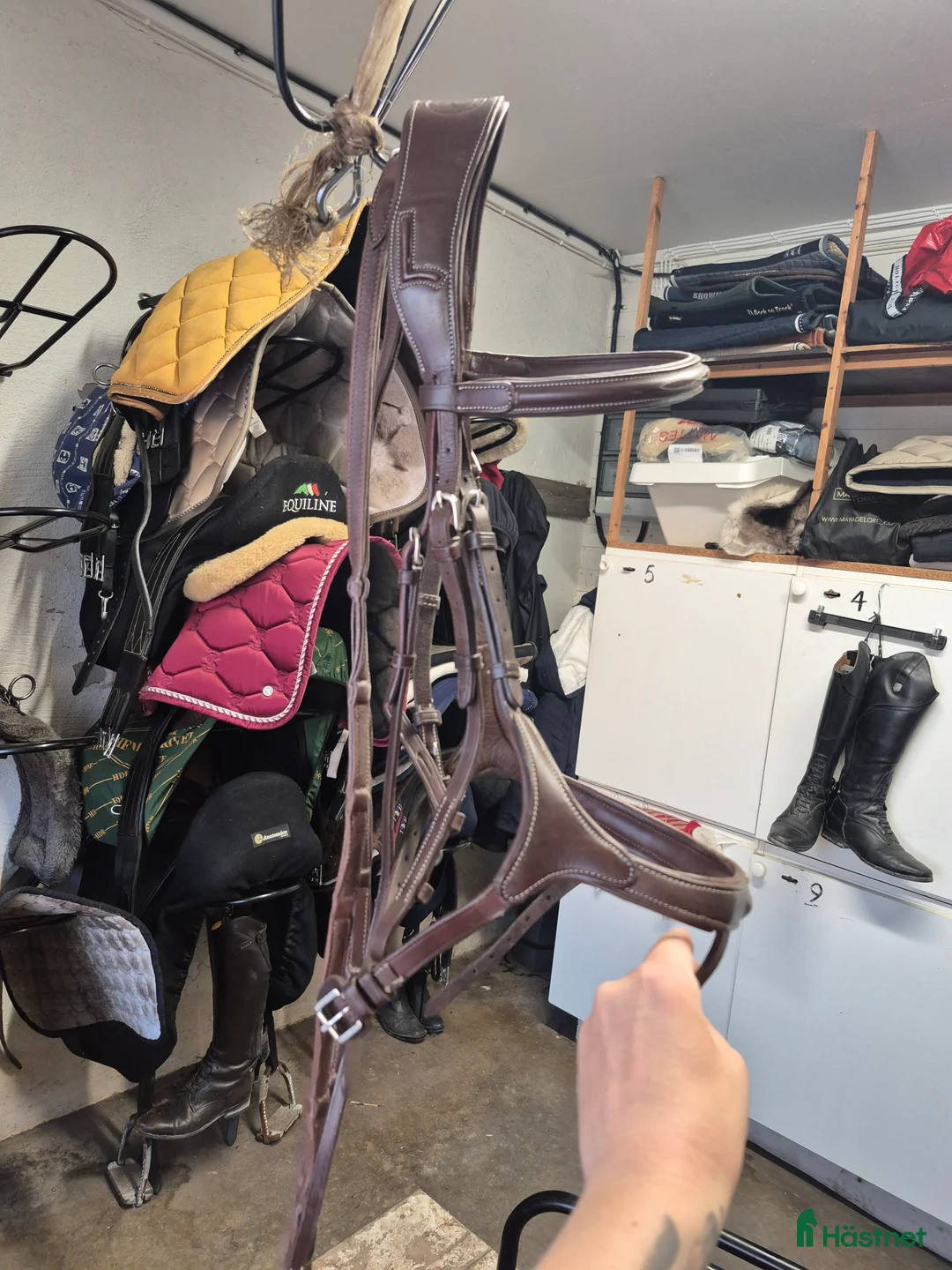 Träns hästutrustning till salu: Lippo träns - Annons 2