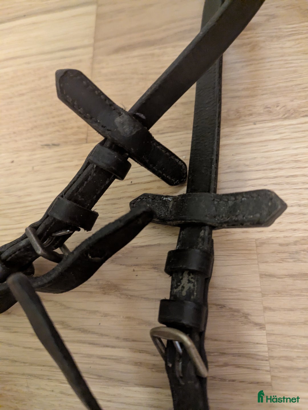 Träns hästutrustning till salu: Tyglar i Ås - Annons 3