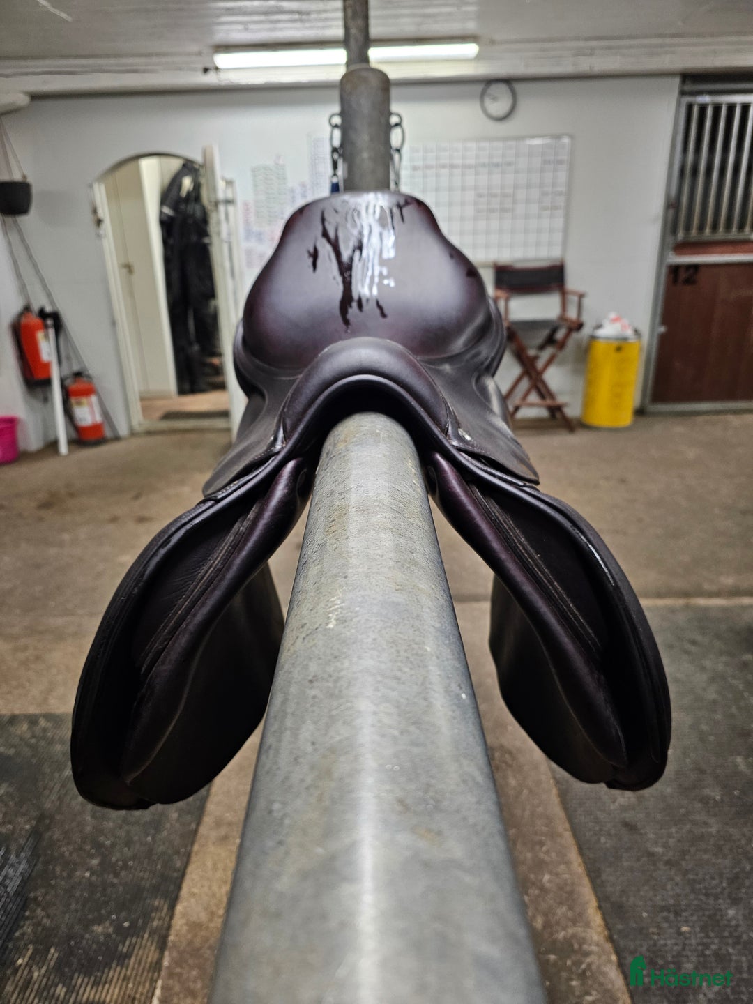 Sadlar hästutrustning till salu: Cwdsadel i Västerås - Annons 3