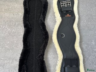 Sadeltillbehör hästutrustning till salu: Kentucky dressyrgjord i Värnamo - Annons 7