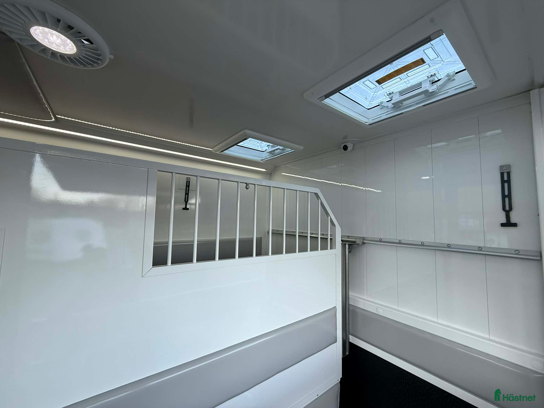 Hästlastbilar  fordon & transport till salu: NORDIC HORSE 5 STUTERI *HÖG LASTVIKT* i Köping - Annons 9