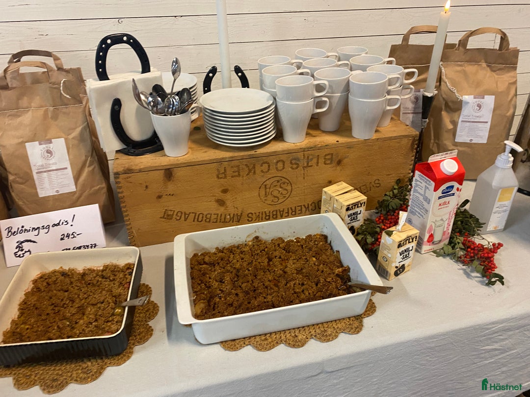  stallplats finnes: Behöver du stallplats på Ekerö?  i Skå - Annons 15