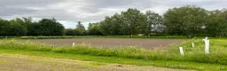  stallplats finnes: Bete/lösdrift/stallplats uthyres - Annons 3