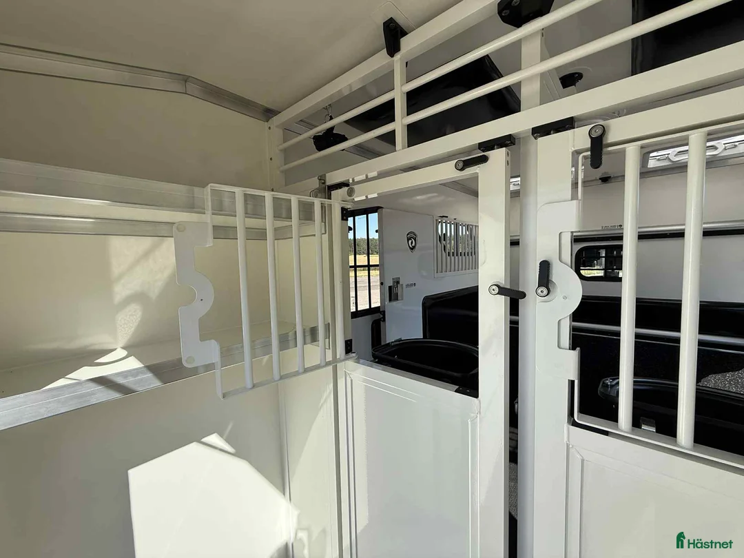 Hästlastbilar  fordon & transport till salu: PARAGAN EXCELSION 5XL STUTERI i Köping - Annons 12