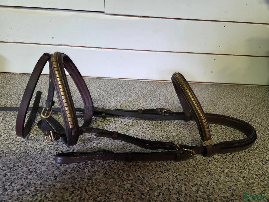 Träns hästutrustning till salu: Equipe-träns - Annons 2