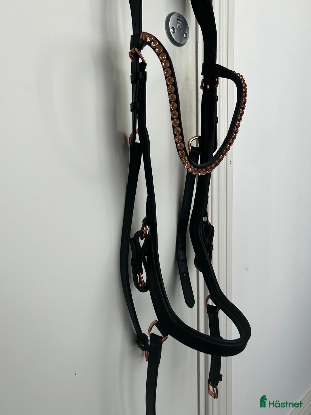 Träns hästutrustning till salu: Träns  i Svedala - Annons 1