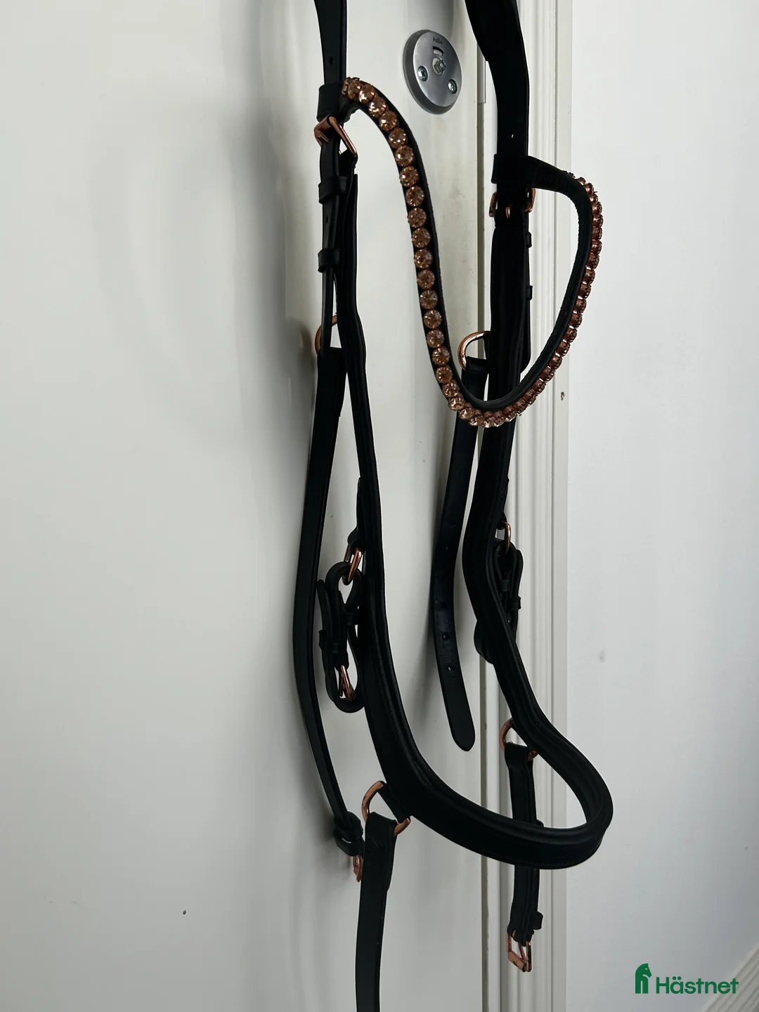 Träns hästutrustning till salu: Träns  i Svedala - Annons 1