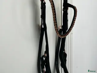 Träns hästutrustning Träns i Svedala - Annons 2