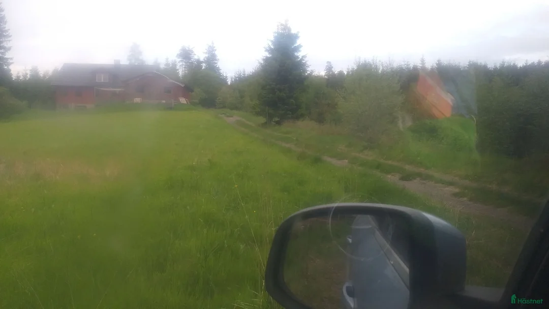  stallplats finnes: Bete finnes Vårgårda - Annons 1