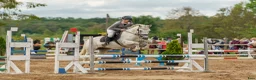 Hoppning hästar till salu:  Connemara Sport Pony - Annons 5