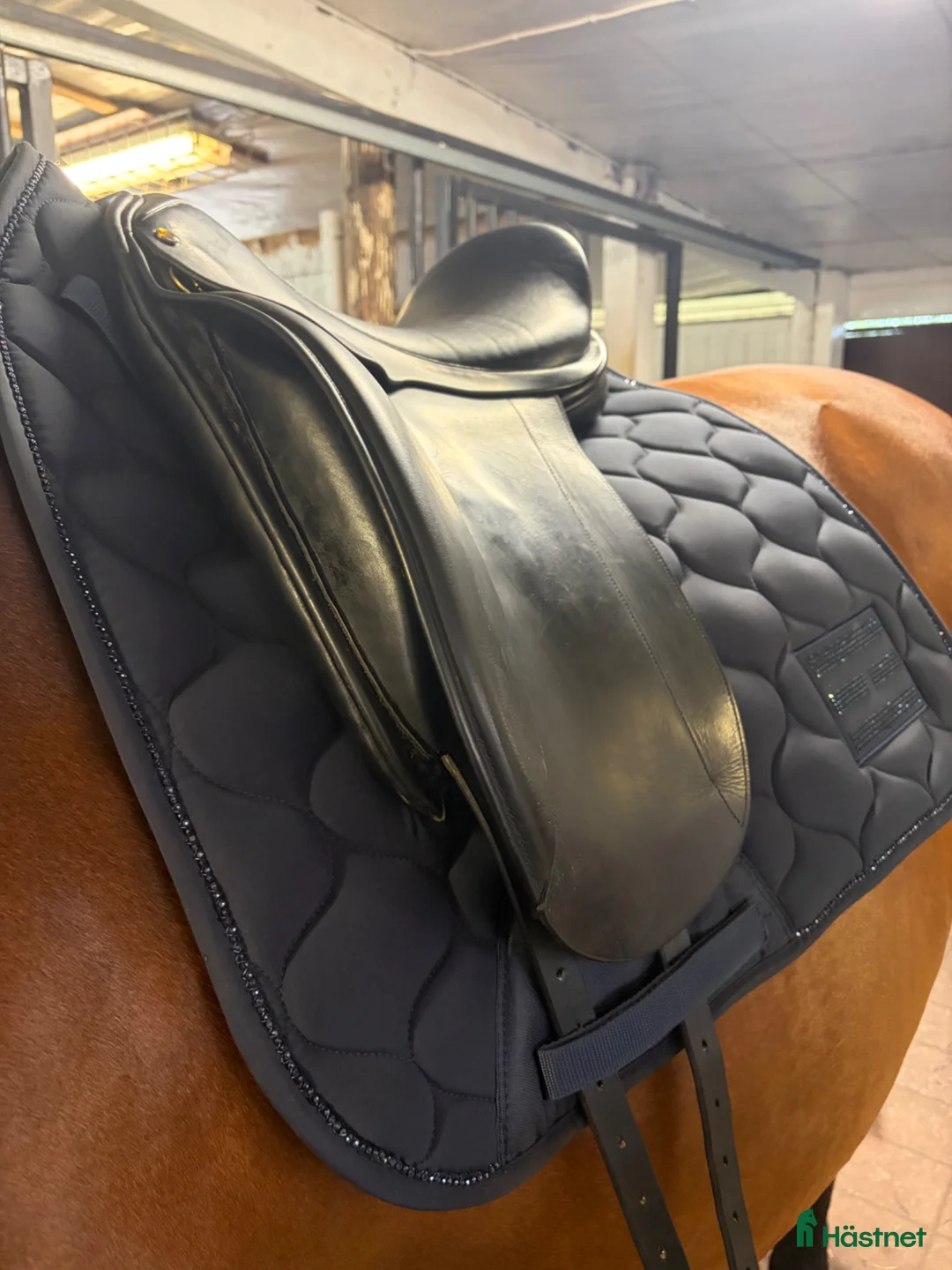 Sadlar hästutrustning till salu: Frank Baines Reflex Dressage, 17.5” bomvidd medium - Annons 2