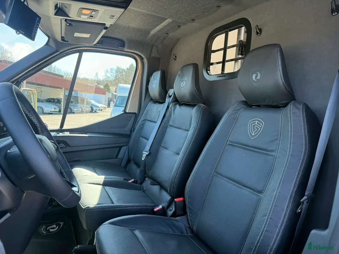 Hästlastbilar  fordon & transport till salu: PARAGAN EQUISTAR 3XL STUTERI  - Annons 15