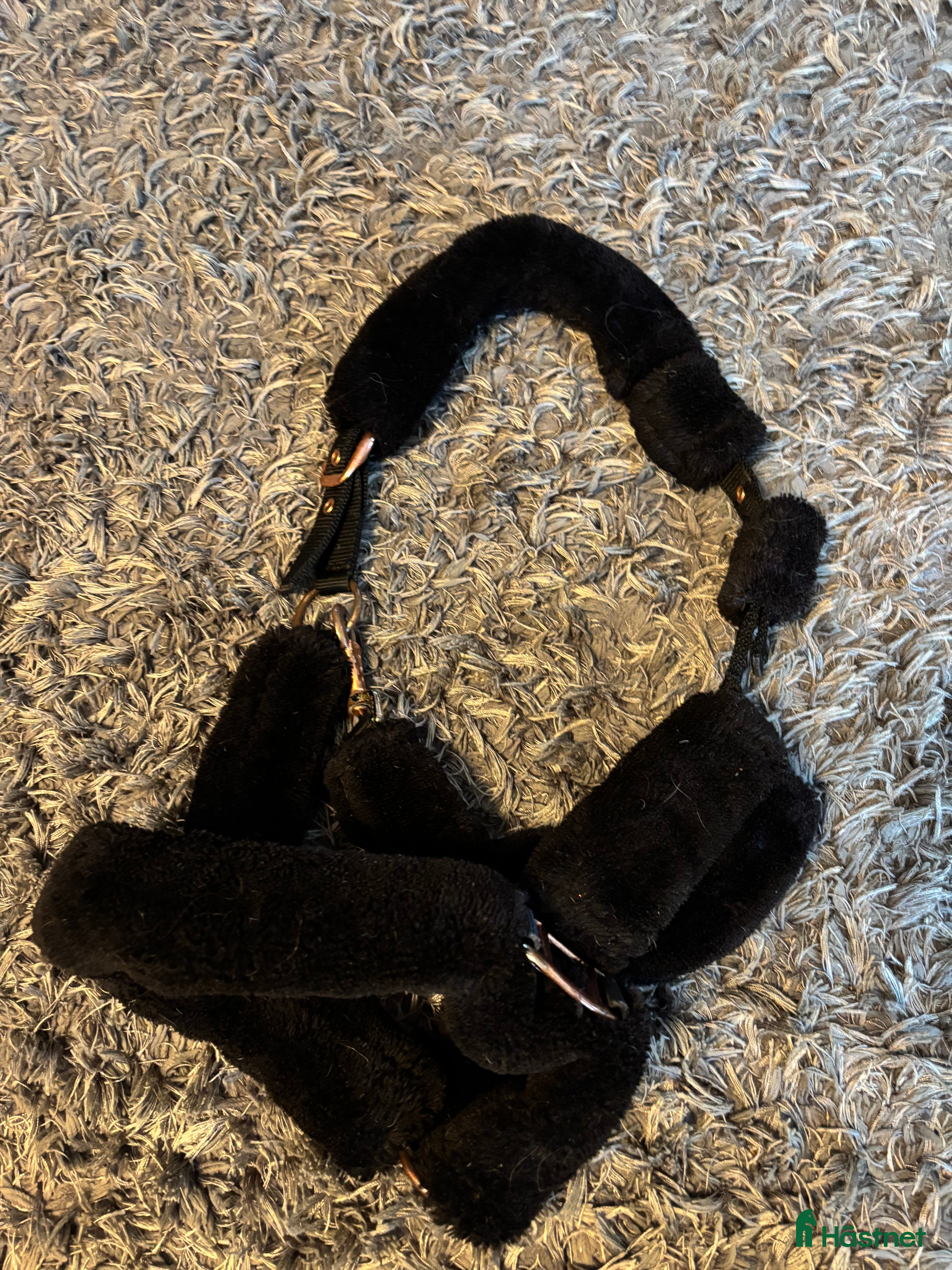 Övrig Hästutrustning hästutrustning till salu: Blandad hästutrustning  - Annons 20