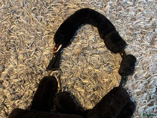 Övrig Hästutrustning hästutrustning till salu: Blandad hästutrustning - Annons 14