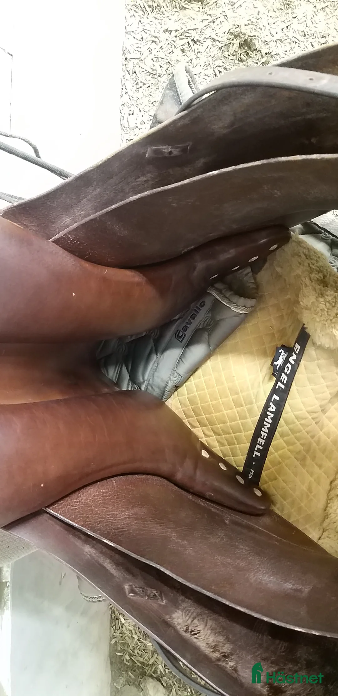 Sadlar hästutrustning till salu: Söker Dressyr sadel  i Södra Sandby - Annons 1