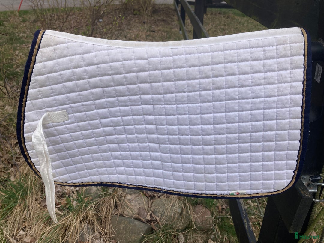 Schabrak & Vojlockar hästutrustning till salu: Hoppschabrak kort modell i Löddeköpinge - Annons 2