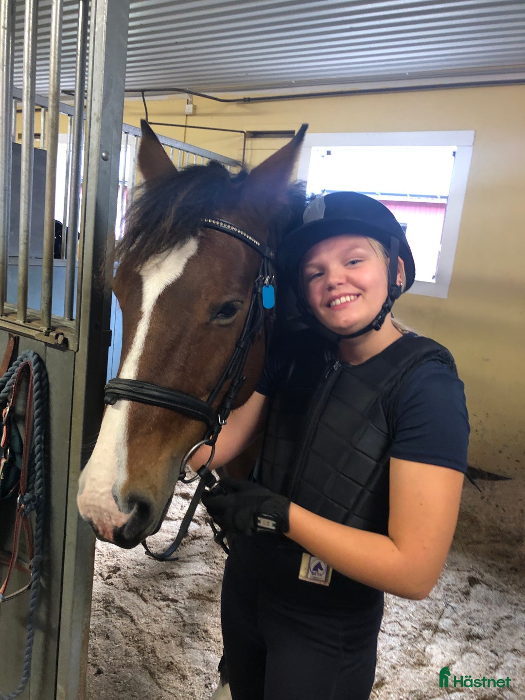  medryttarhäst sökes: Mamma och dotter söker medryttarhäst - Annons 2