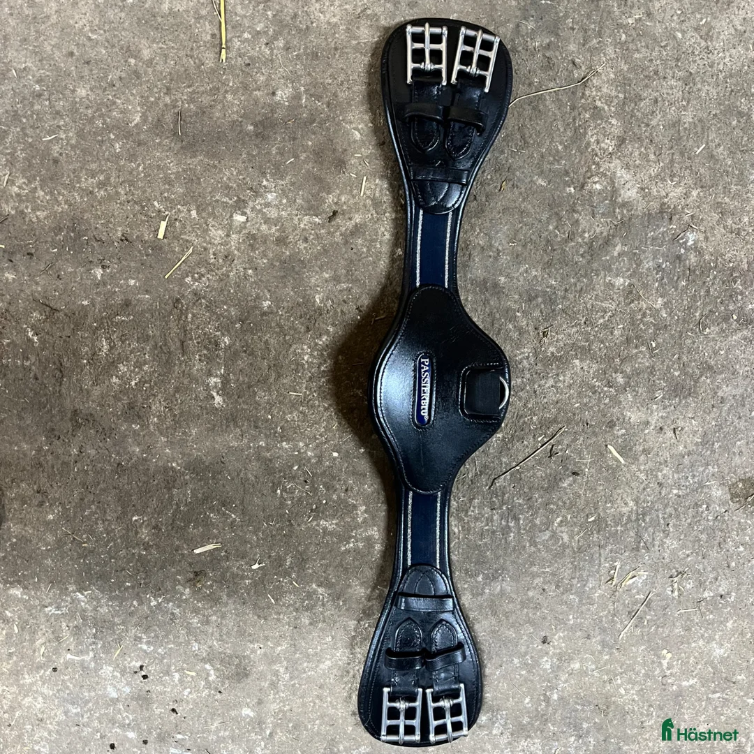 Sadeltillbehör hästutrustning till salu: Passier BLU sadelgjord- 65cm - Annons 1