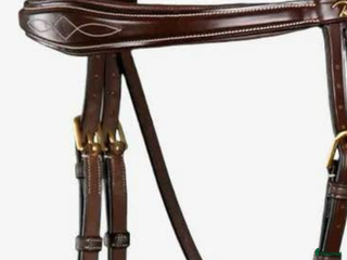 Träns hästutrustning till salu: Önskar dyon Antares mm i Malmö - Annons 2