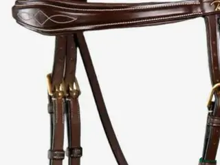 Träns hästutrustning Önskar dyon Antares mm i Malmö - Annons 22