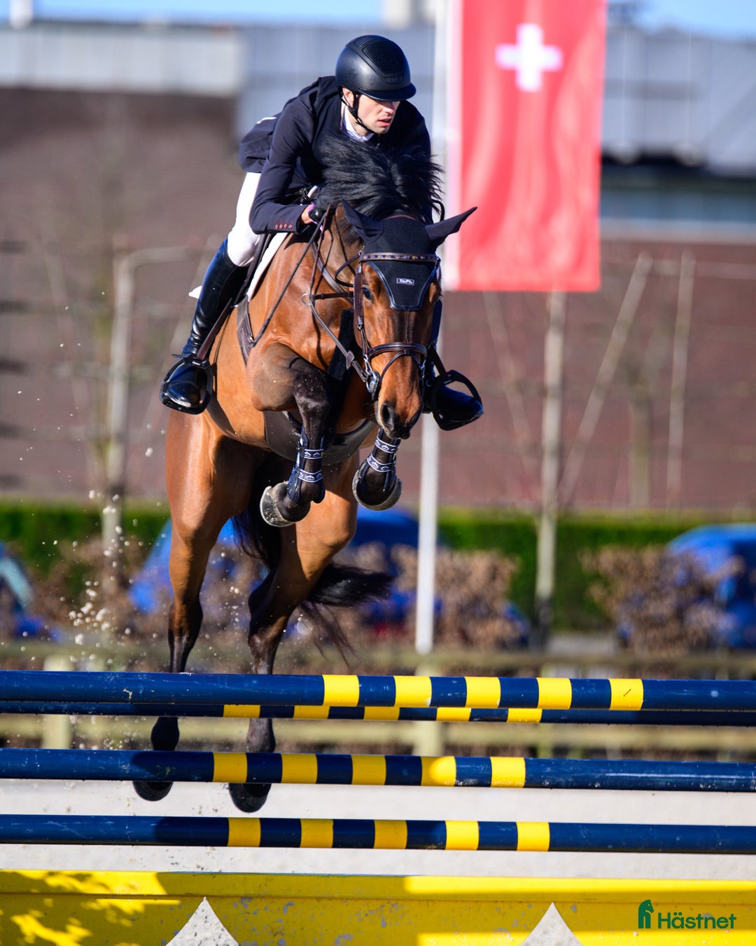  hästservice finnes: Samarbete sökes i Mariefred - Annons 3