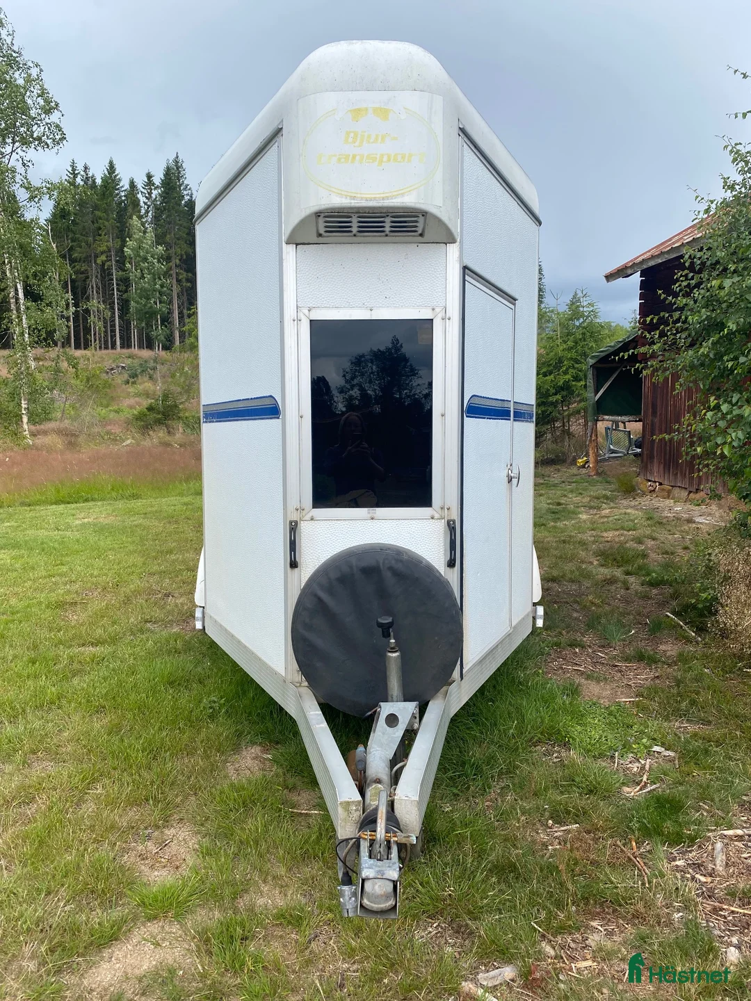 Hästtransporter  fordon & transport till salu: Umesläp A60 - Annons 2