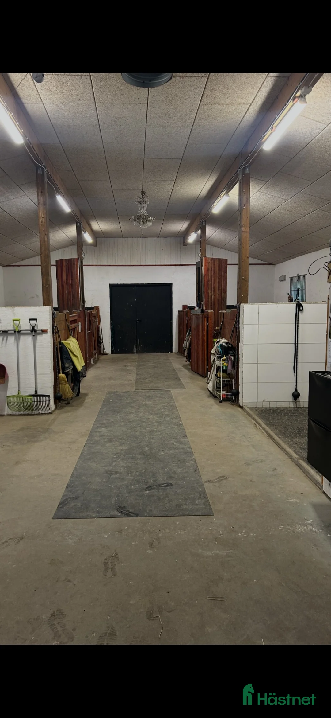  stallplats finnes: 2 lediga boxplatser i lugnt stall - Annons 2
