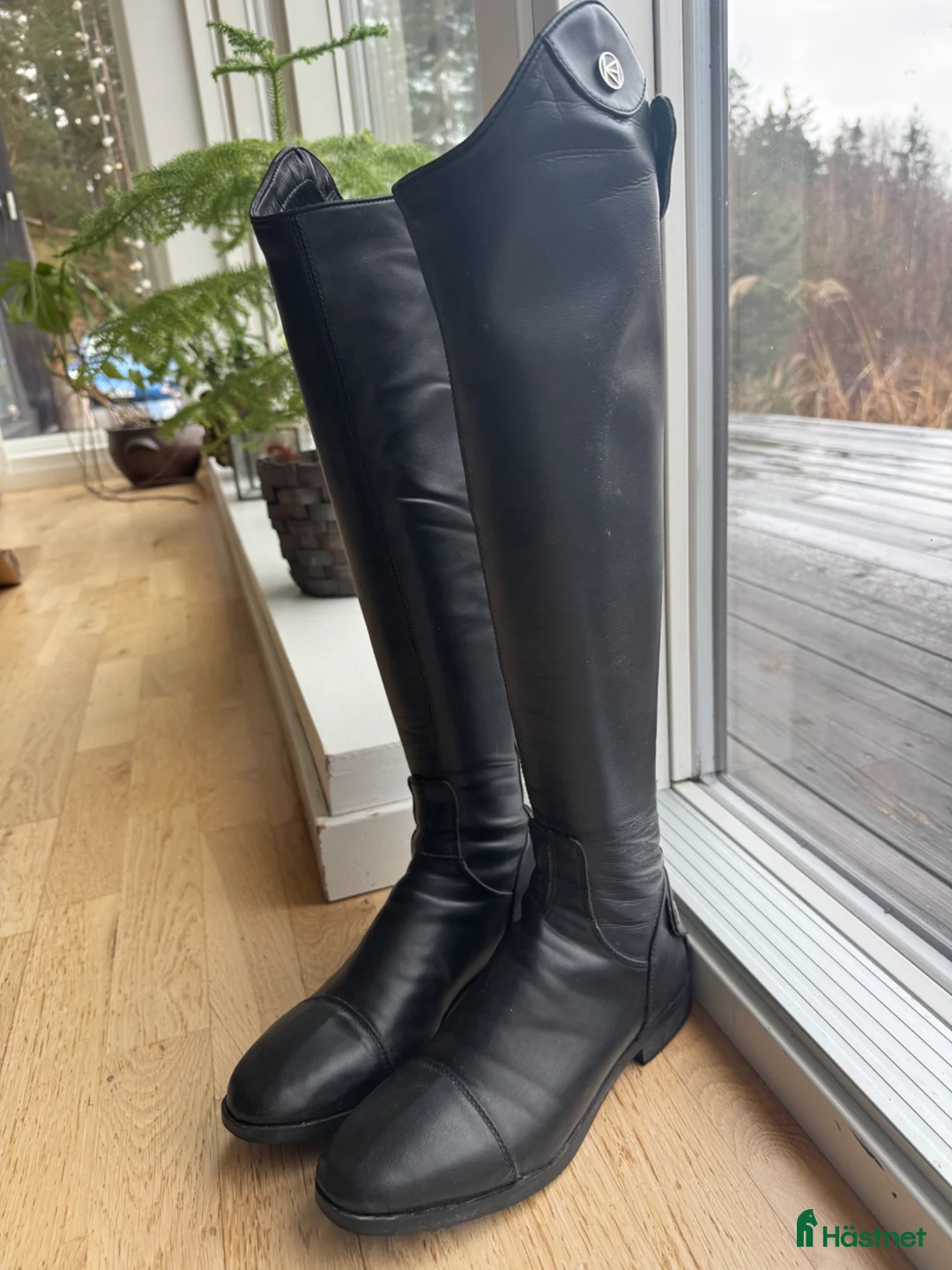 Ridstövlar ryttarutrustning till salu: Superfina NOOH NOOH stövlar i Bålsta - Annons 6