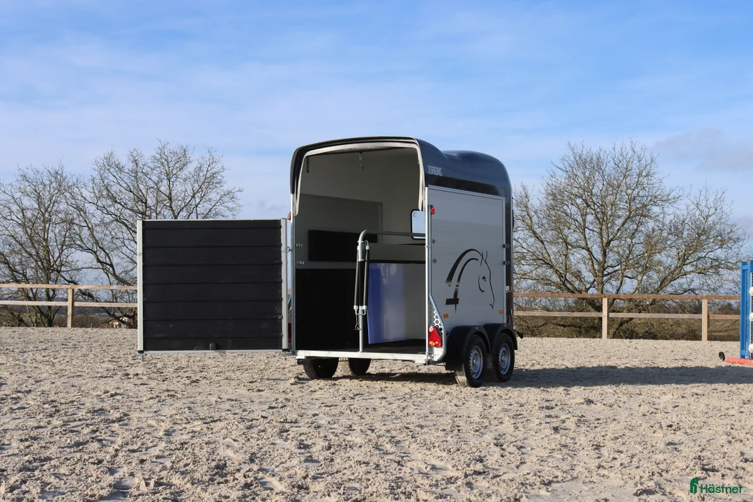 Hästtransporter  fordon & transport till salu: Cheval Liberté Gold Origins - Annons 7