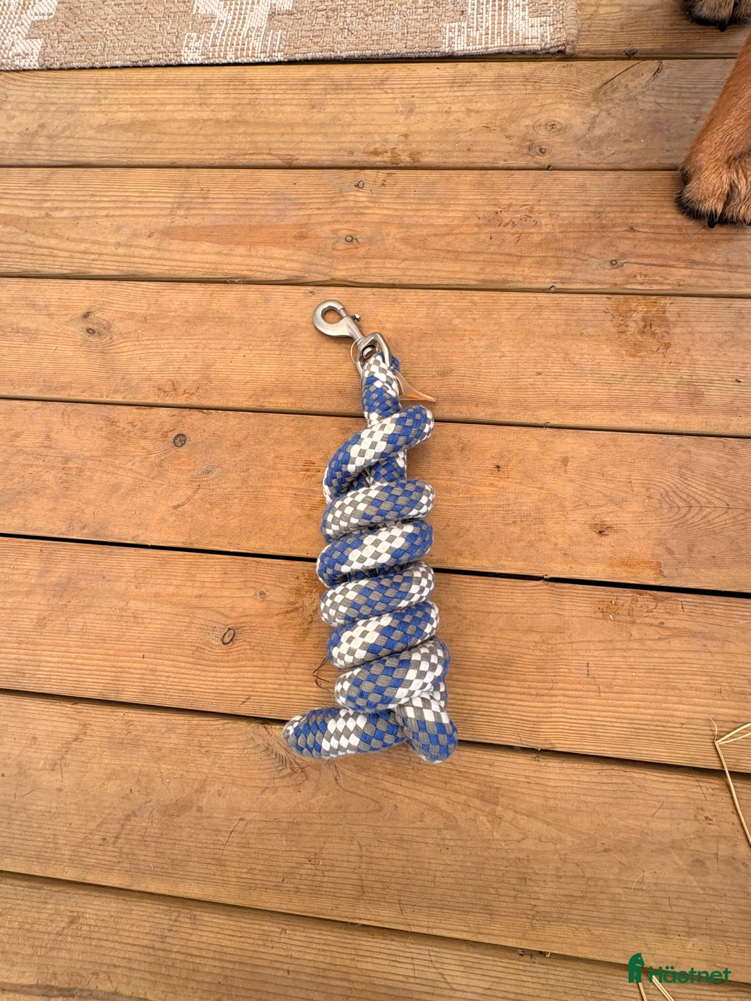 Övrig Hästutrustning hästutrustning till salu: Blandade häst prylar  i Alingsås - Annons 6